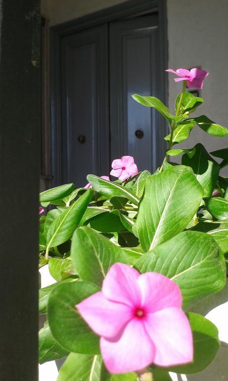 Gli Dei E Le Rose Villa Agerola Luaran gambar